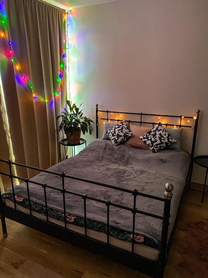 Lovely Studio Apartment, Free Parking 1,55 Hight プラハ エクステリア 写真